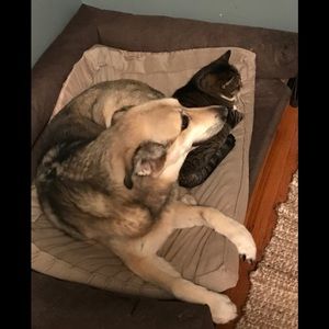 COPY - Meet your Posher, Kim